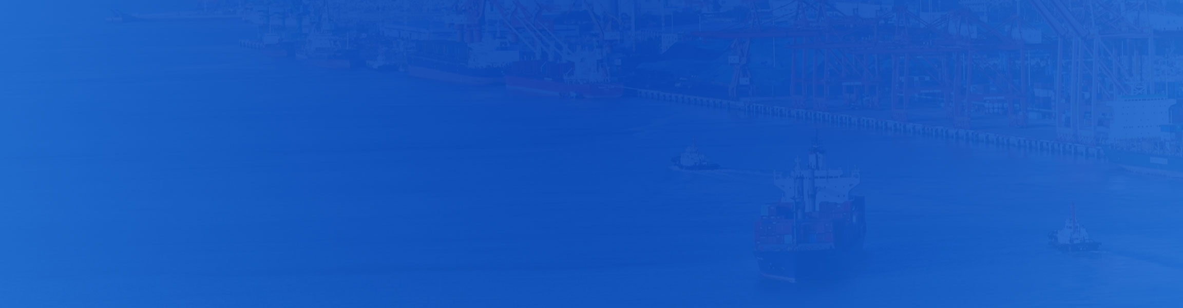 2025年新政策指导，及时准确